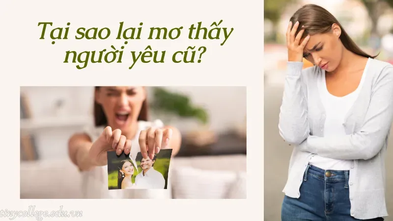 nằm mơ thấy người yêu cũ 1