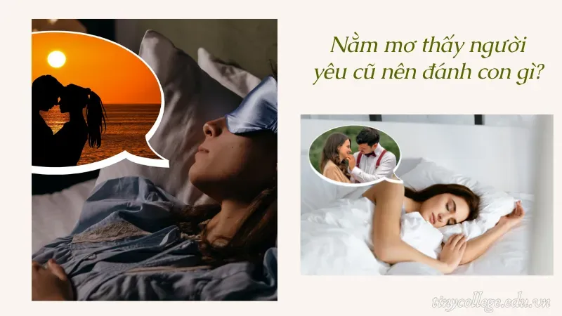 nằm mơ thấy người yêu cũ 5