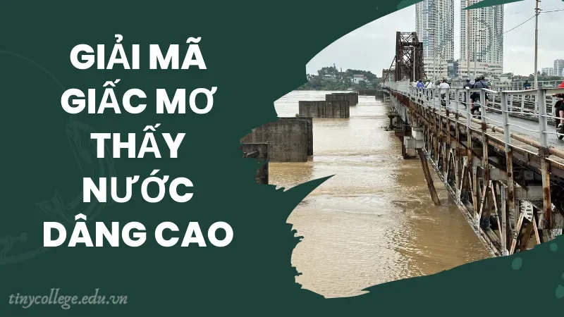 nằm mơ thấy nước dâng cao 3