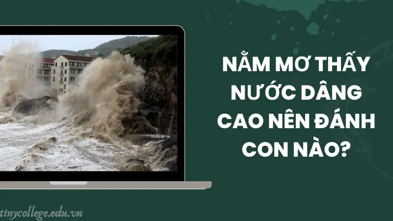 nằm mơ thấy nước dâng cao 7