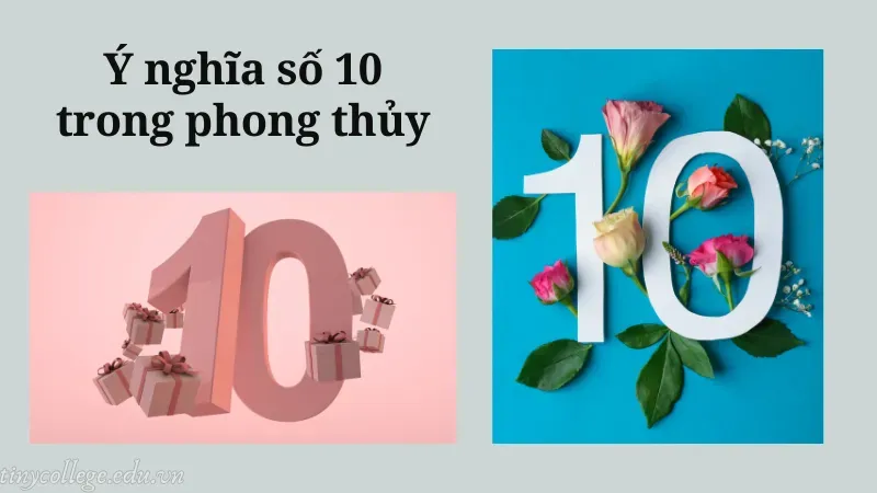 nằm mơ thấy số 10 1