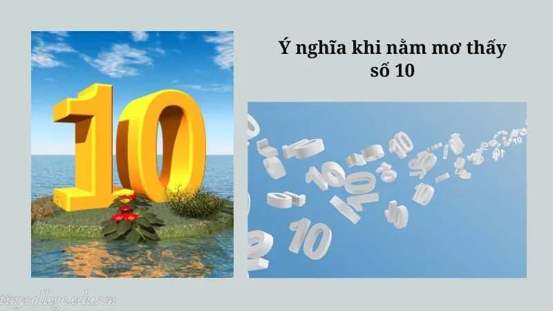 nằm mơ thấy số 10 3