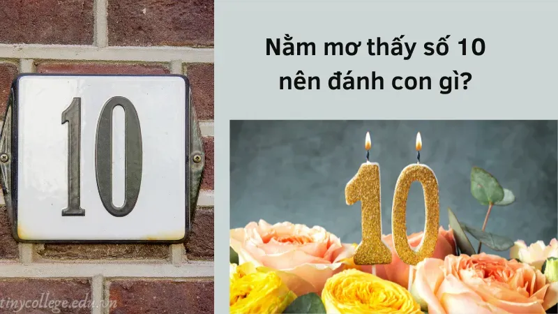 nằm mơ thấy số 10 6