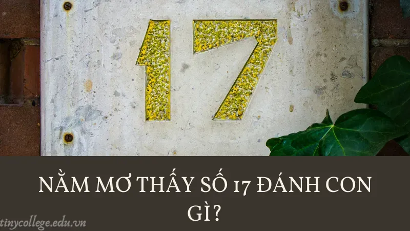 nằm mơ thấy số 17 đánh con gì 3