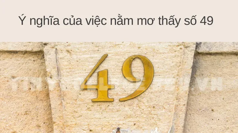 nằm mơ thấy số 49 3