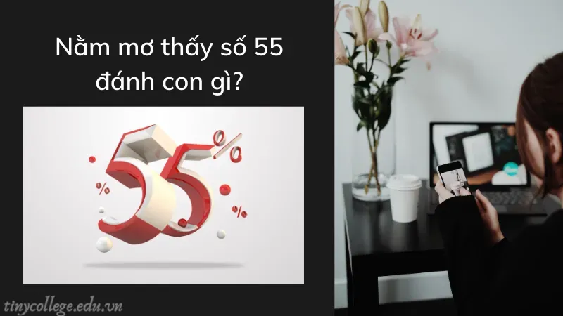 nằm mơ thấy số 55 đánh con gì 3