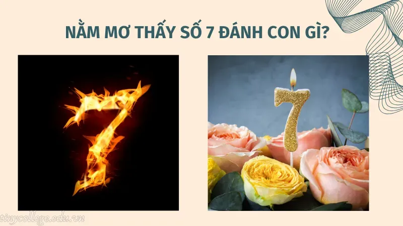 nằm mơ thấy số 7 đánh con gì 7