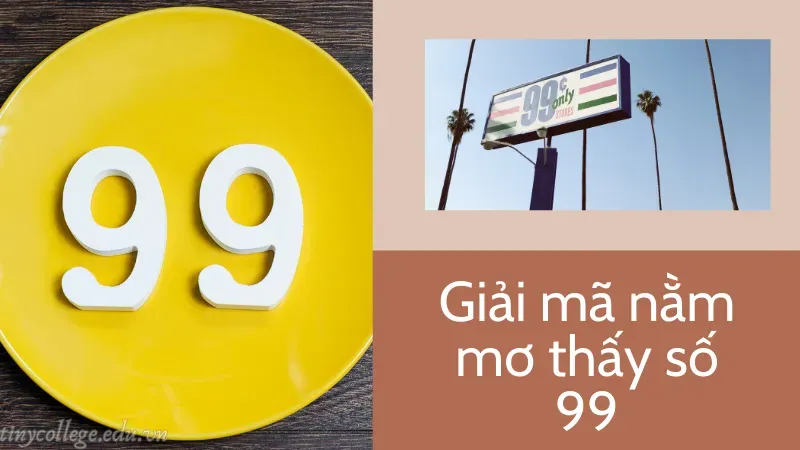 nằm mơ thấy số 99 đánh con gì 2