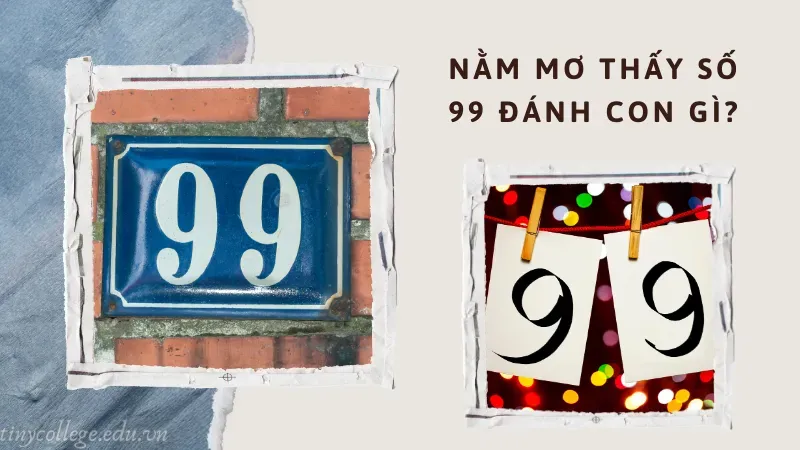 nằm mơ thấy số 99 đánh con gì 4