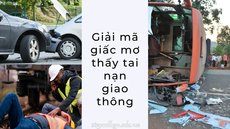 nằm mơ thấy tai nạn giao thông 3