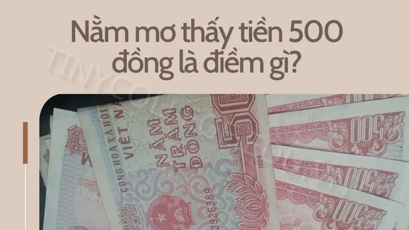 nằm mơ thấy tiền 500 đồng 1