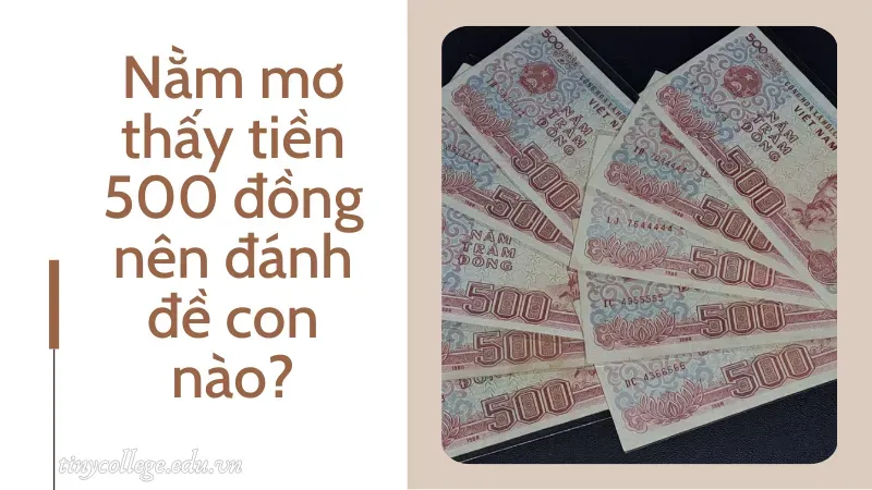 nằm mơ thấy tiền 500 đồng 6