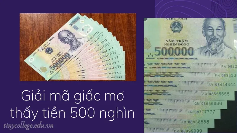 nằm mơ thấy tiền 500 nghìn đánh đề con gì 3