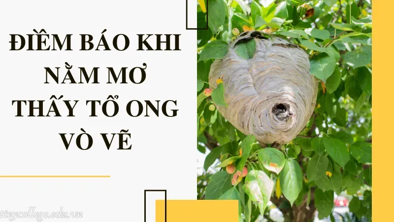 nằm mơ thấy tổ ong vò vẽ 1