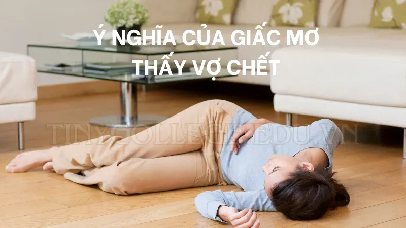 nằm mơ vợ chết 2