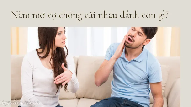 nằm mơ vợ chồng cãi nhau 6