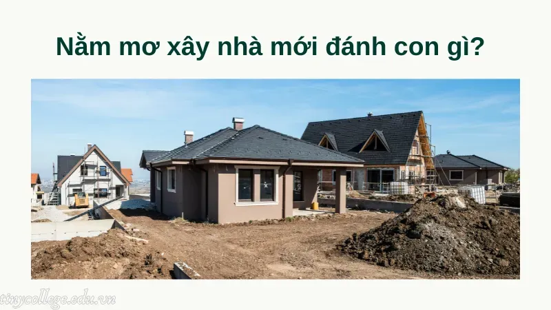 nằm mơ xây nhà mới 6