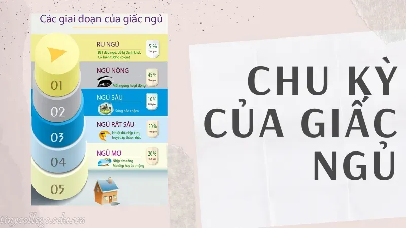 ngủ không sâu giấc hay nằm mơ 1