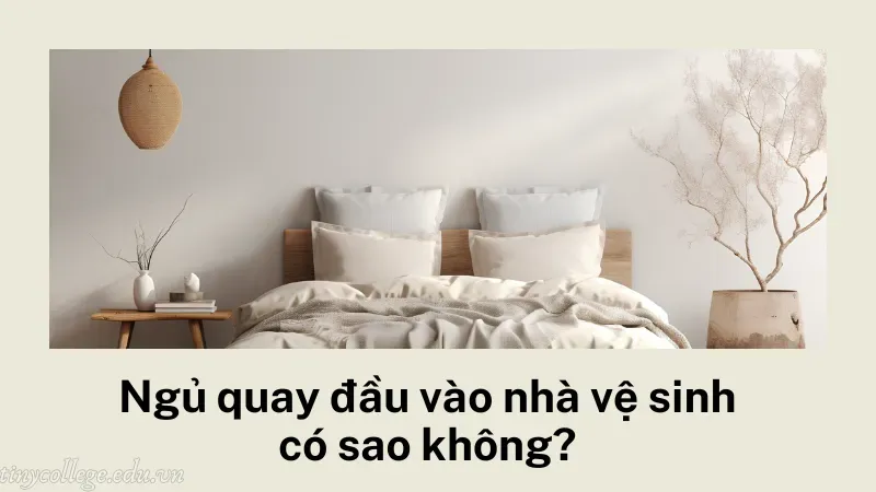 ngủ quay đầu vào nhà vệ sinh có sao không 1