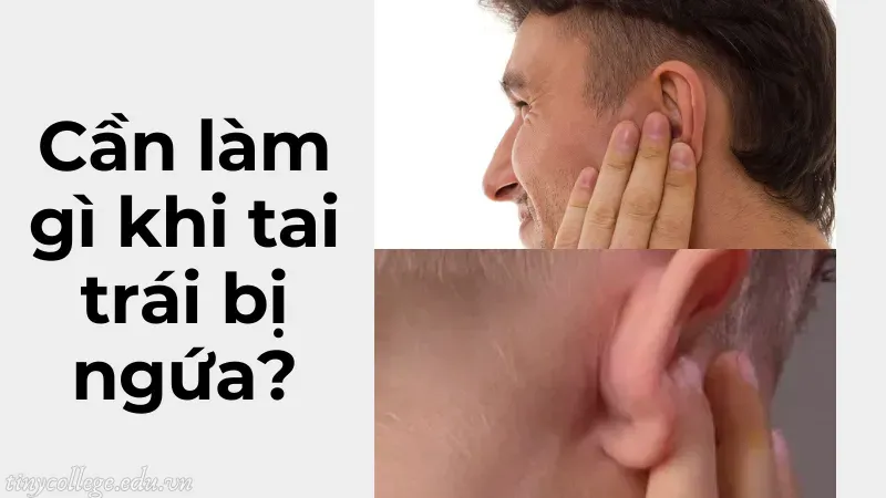 ngứa tai trái nam là điềm gì 7