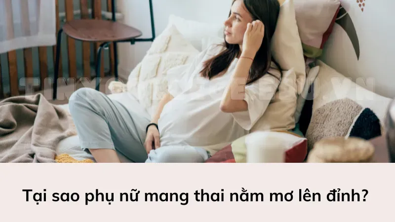 phụ nữ mang thai nằm mơ lên đỉnh 1