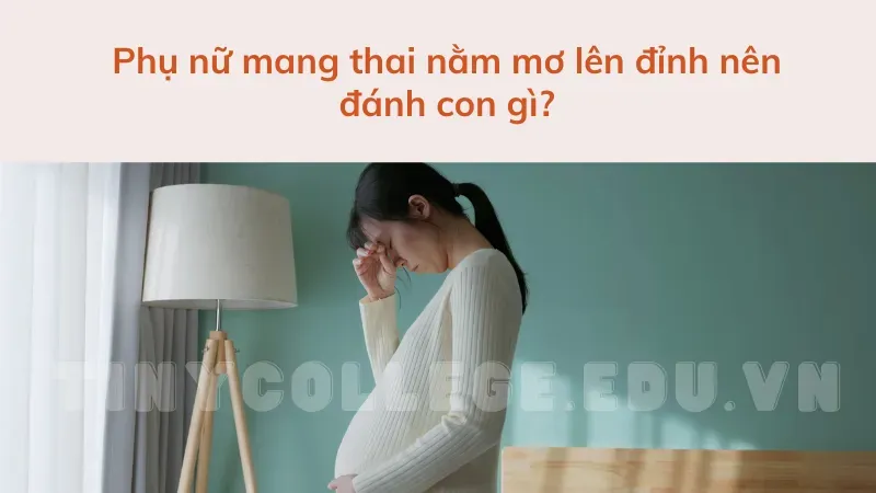 phụ nữ mang thai nằm mơ lên đỉnh 3