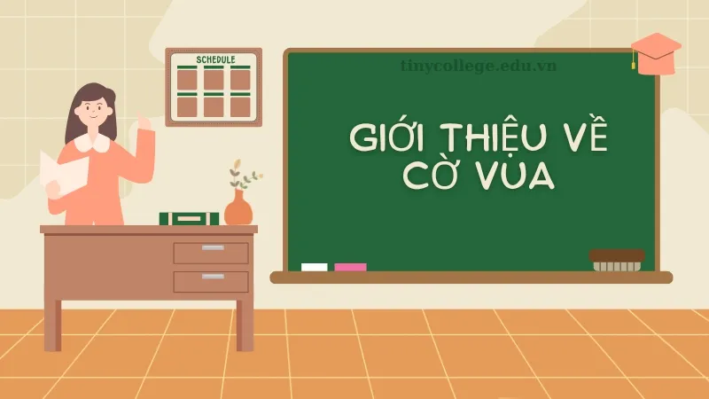 Quy tắc chơi cờ vua 02