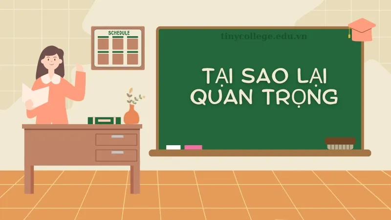 Quy tắc gõ dấu trong word 02