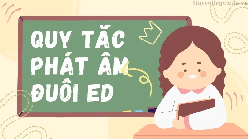 Quy tắc ED 02