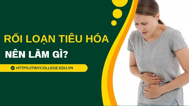 Rối loạn tiêu hóa nên làm gì? Các giải pháp hiệu quả 1