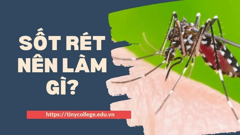 Bị sốt rét nên làm gì? Các bước cần thực hiện ngay 1