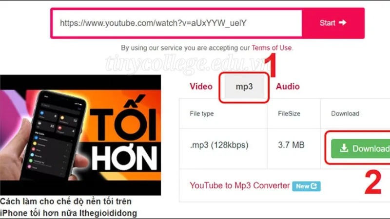 Hướng dẫn tải nhạc từ YouTube miễn phí và nhanh chóng 5