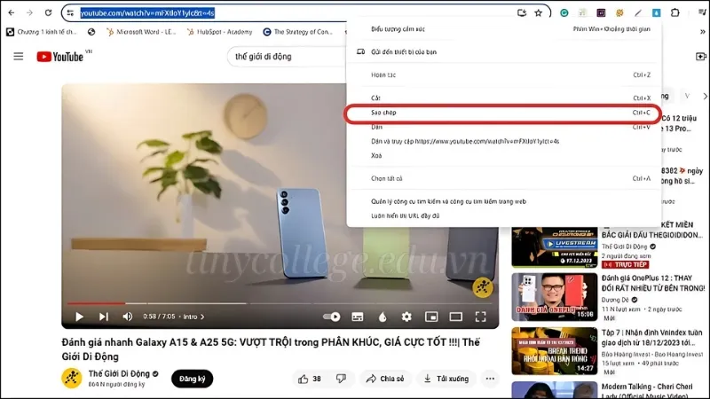 Hướng dẫn tải nhạc từ YouTube miễn phí và nhanh chóng 12