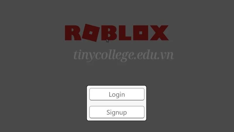 Hướng dẫn chi tiết cách tải Roblox về thiết bị của bạn 7