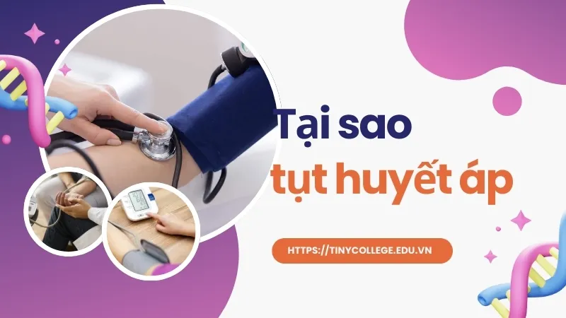 Tại sao tụt huyết áp? Những điều cần lưu ý để bảo vệ sức khỏe 1