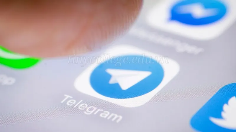 Hướng dẫn cách tải Telegram miễn phí cho tất cả thiết bị 6