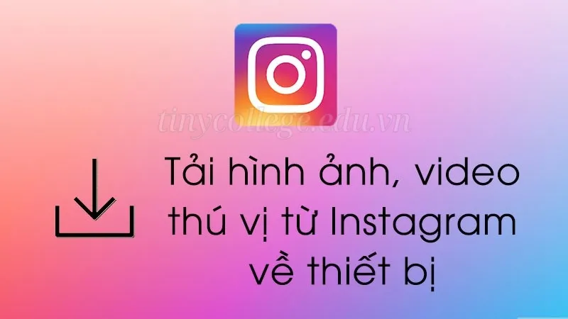 Hướng dẫn các bước tải video instagram không cần phần mềm 2