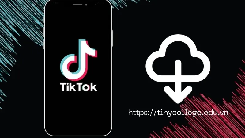 Tải video TikTok không logo miễn phí dễ dàng trong 3 bước 1