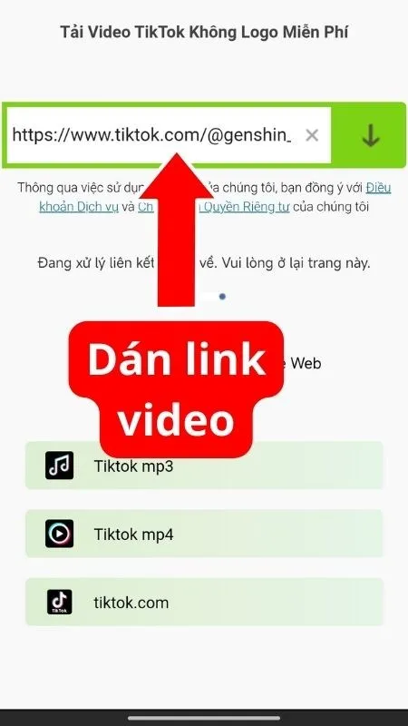 Tải video TikTok không logo miễn phí dễ dàng trong 3 bước 7