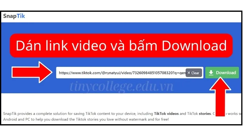 Tải video TikTok không logo miễn phí dễ dàng trong 3 bước 3