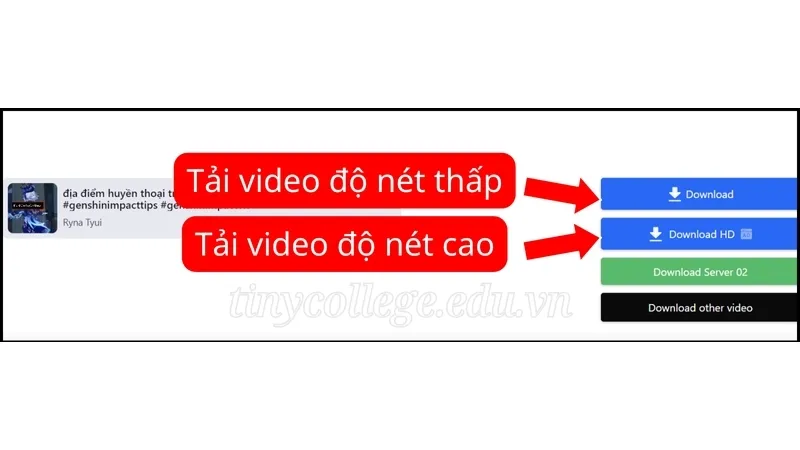 Tải video TikTok không logo miễn phí dễ dàng trong 3 bước 9