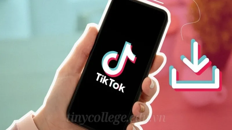 Tải video TikTok không logo miễn phí dễ dàng trong 3 bước 11