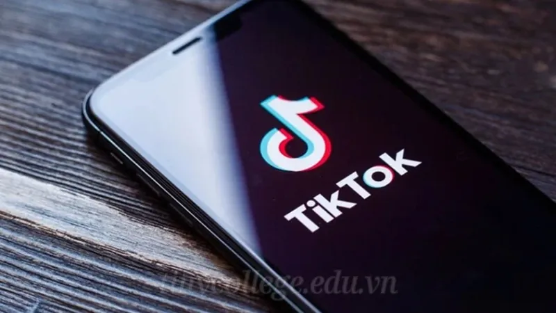 Tải video TikTok không logo miễn phí dễ dàng trong 3 bước 10