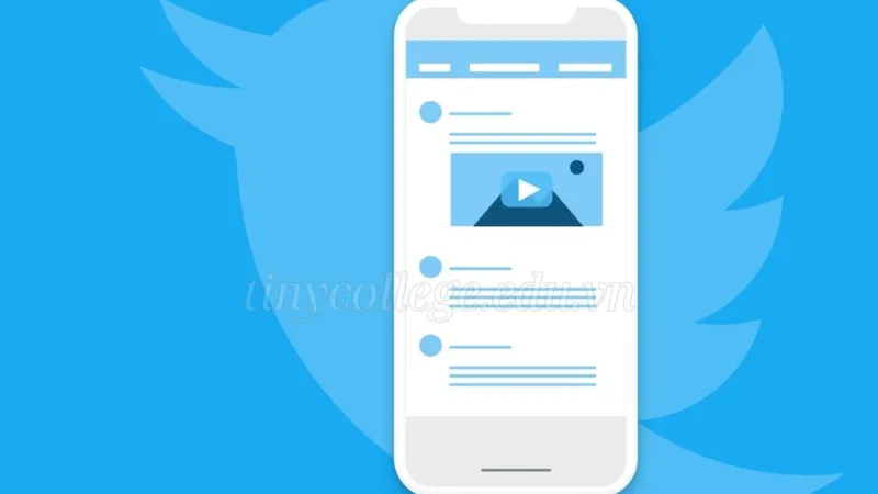 Cách tải video Twitter - Hướng dẫn chi tiết từng bước 12