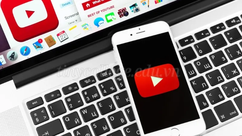 Hướng dẫn cách tải video youtube miễn phí chất lượng cao 1