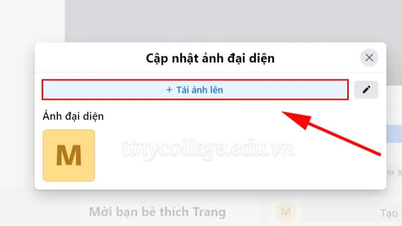 Các bước đơn giản tạo Fanpage trên điện thoại đơn giản nhất 5