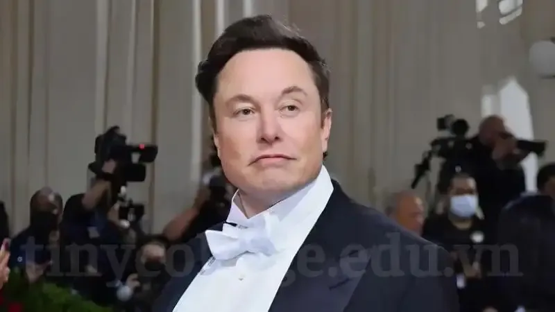  tiểu sử của Elon Musk 3