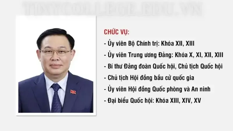 Vương Đình Huệ  7