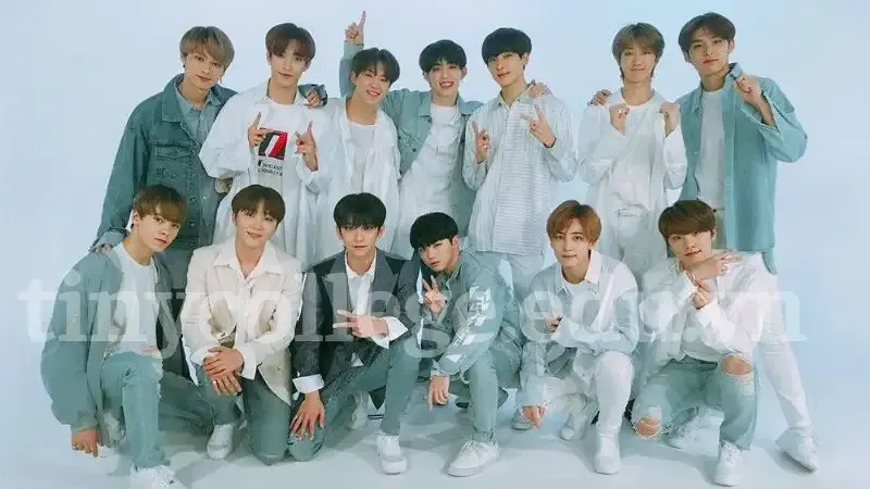 tiểu sử của Seventeen  2