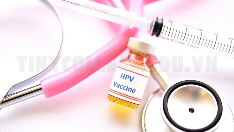 Trước khi tiêm HPV cần làm gì? 7 Lưu ý không thể bỏ qua 3